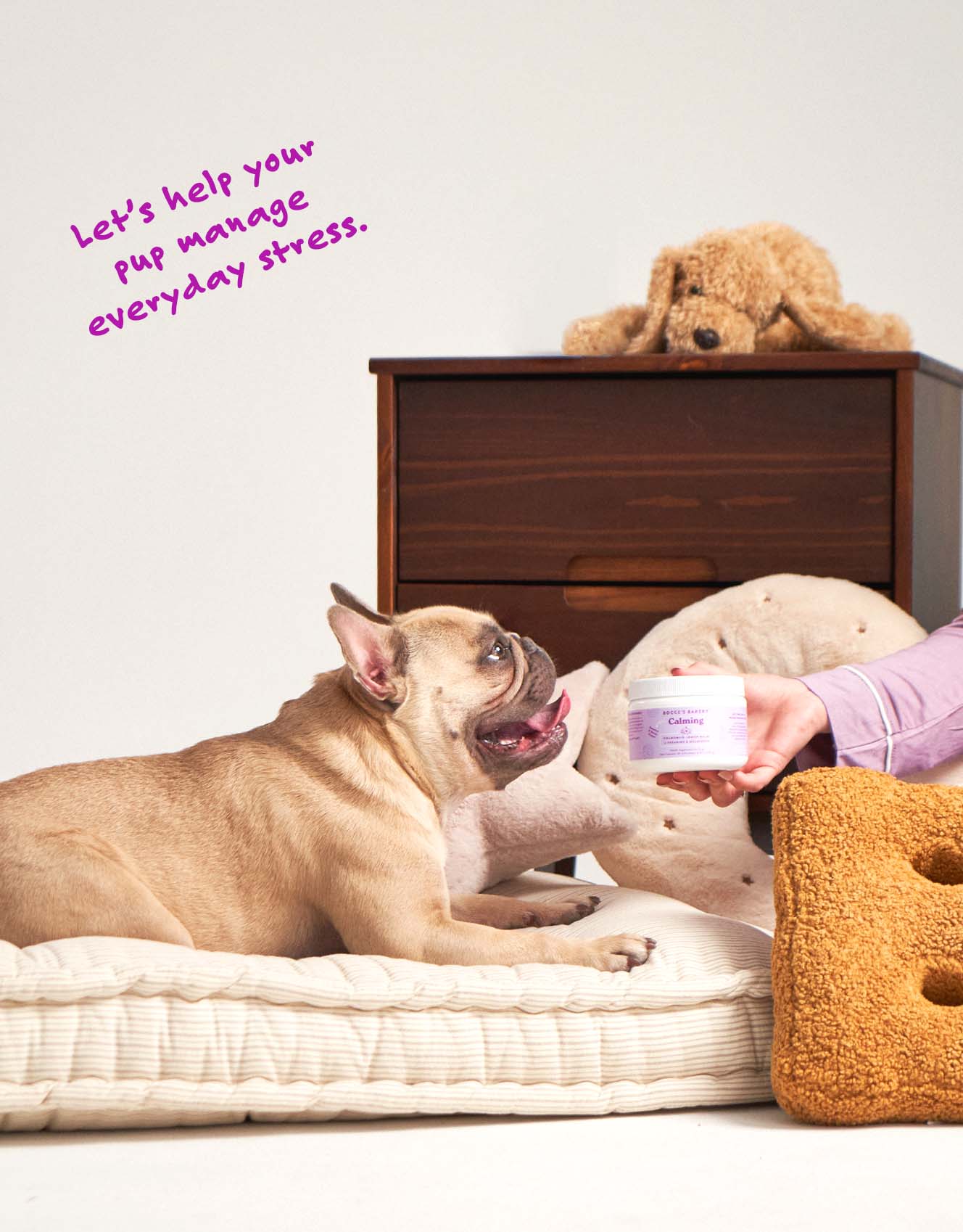 Calming Health Supplement for Dogs