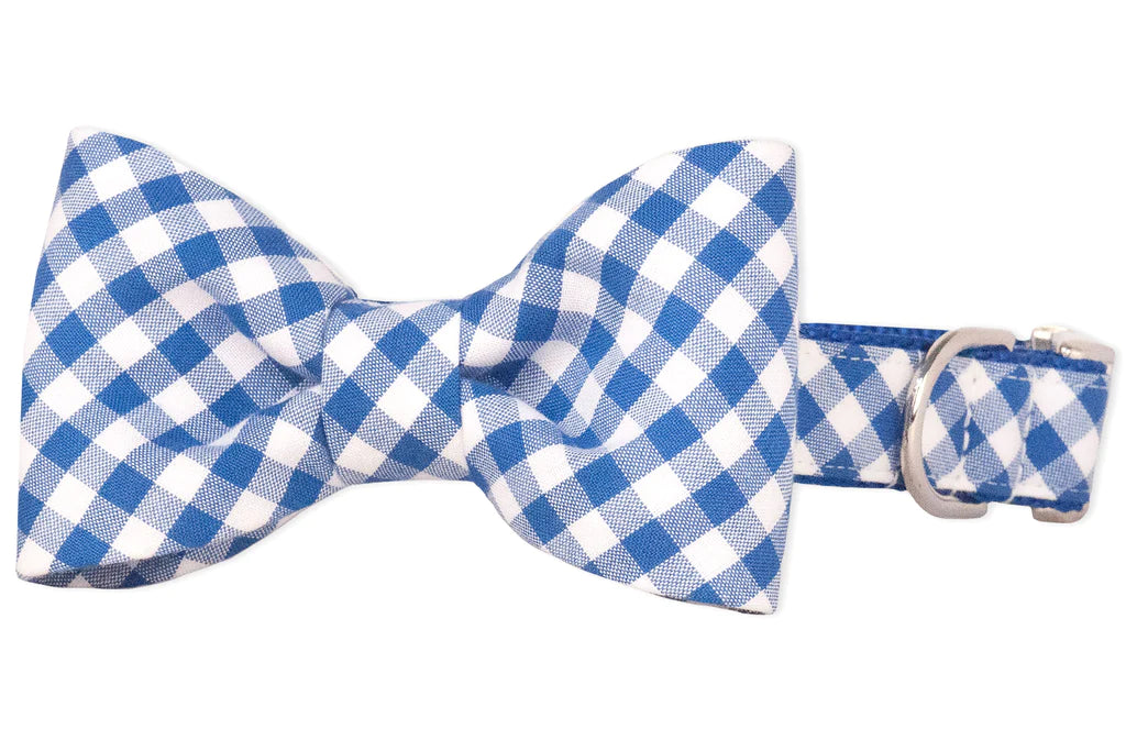 royal blue picnic plaid Bow tie Dog Collar