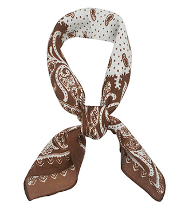 paisley print scarf in brown