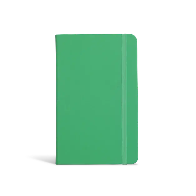 Everyday Notebook: Coral