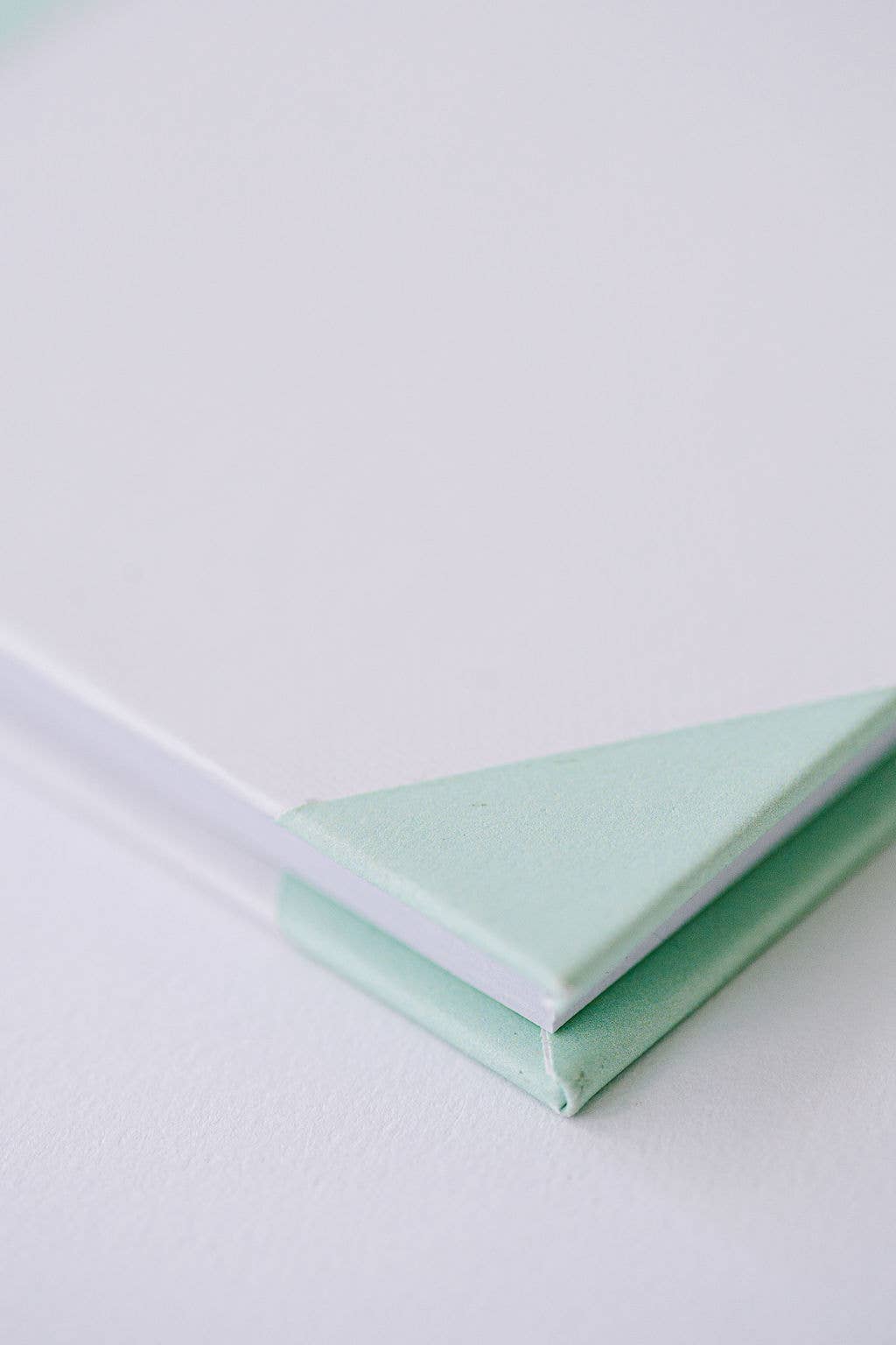 Wild Ride Notebook - Green