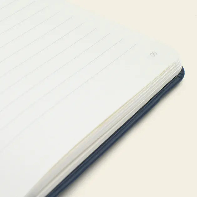 Everyday Notebook: Coral