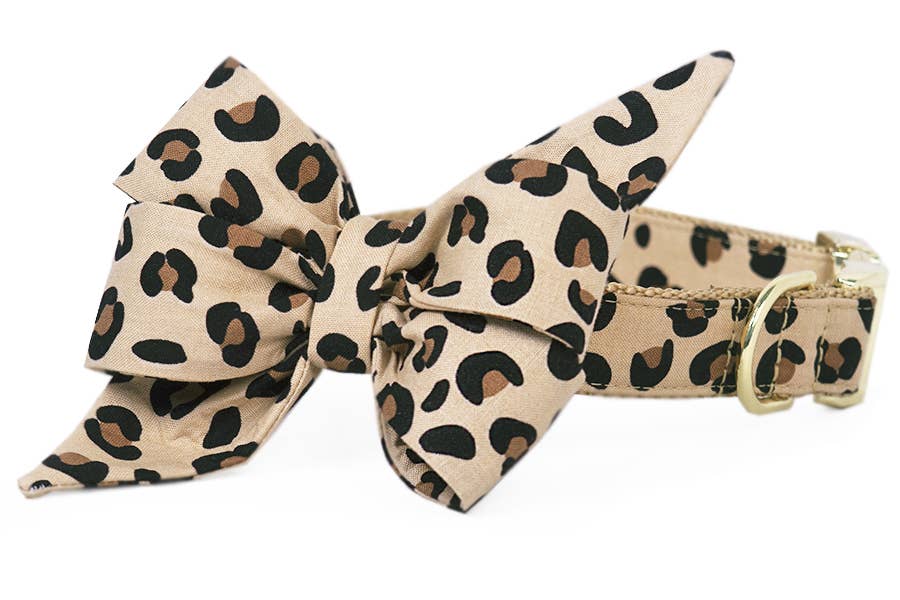 Party Animal Belle Bow Dog Collar