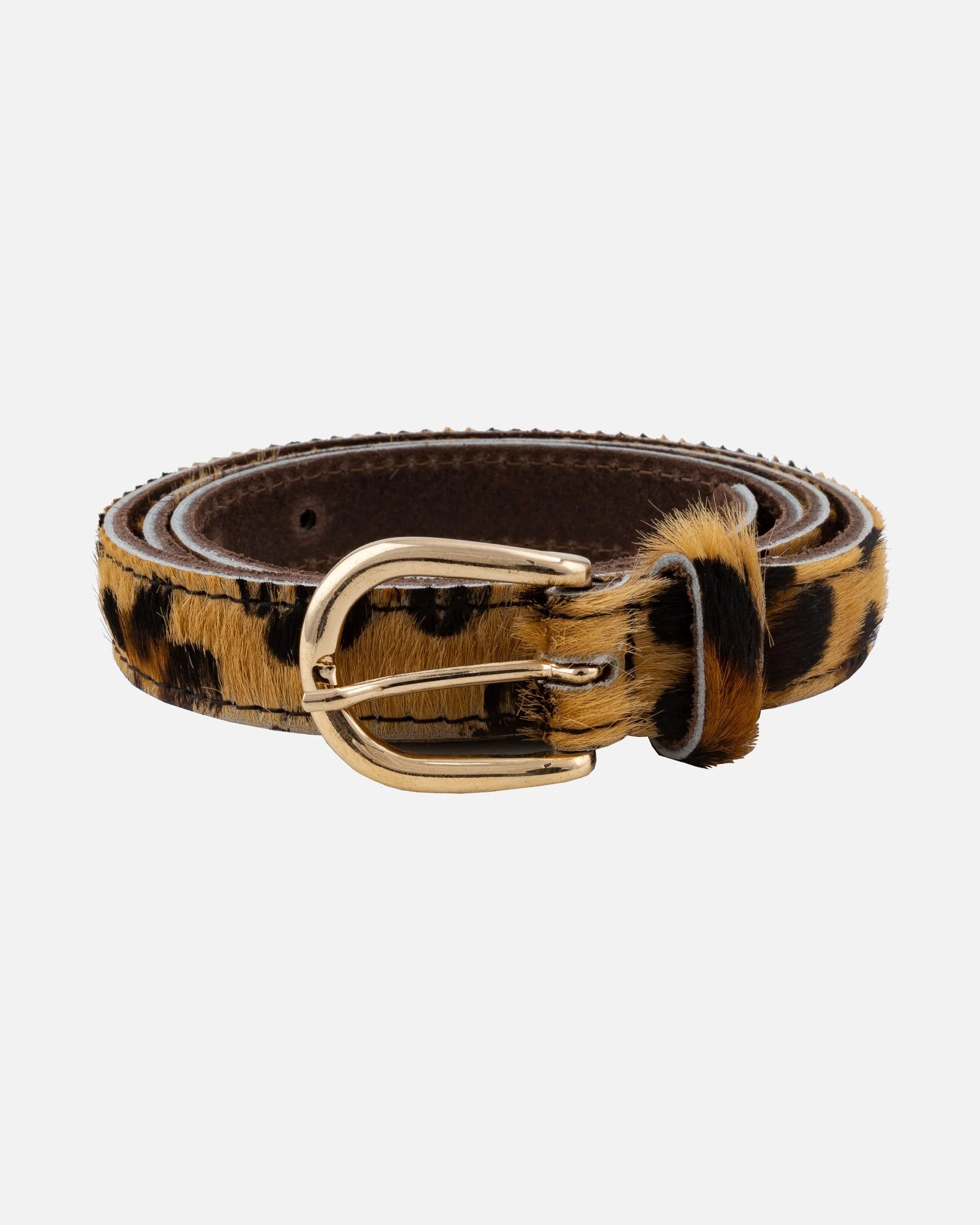 dania cow hair leather belt in leopard