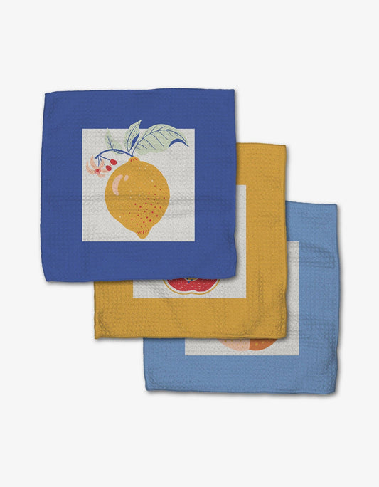 Summer Fruity Dishcloth Set