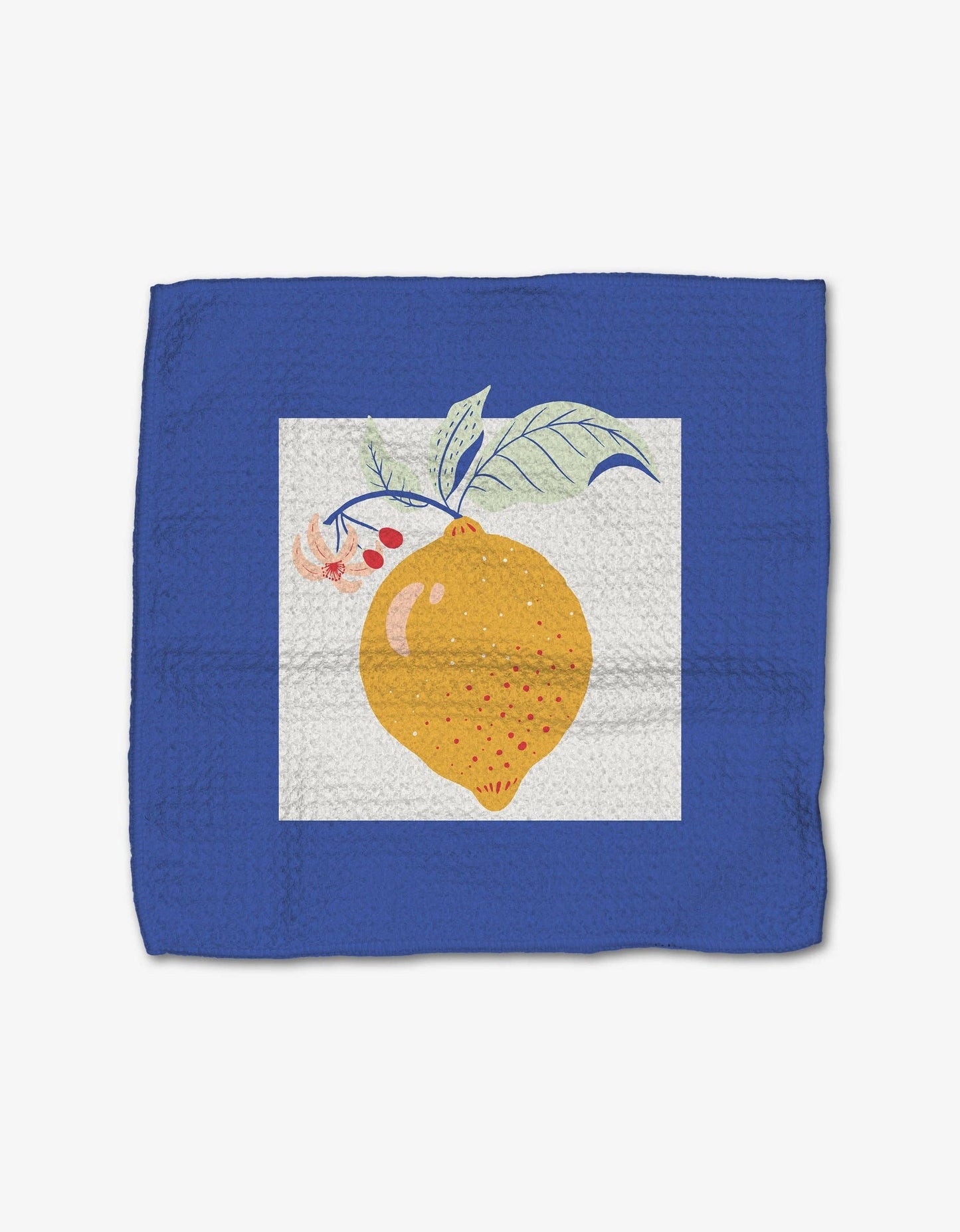 Summer Fruity Dishcloth Set