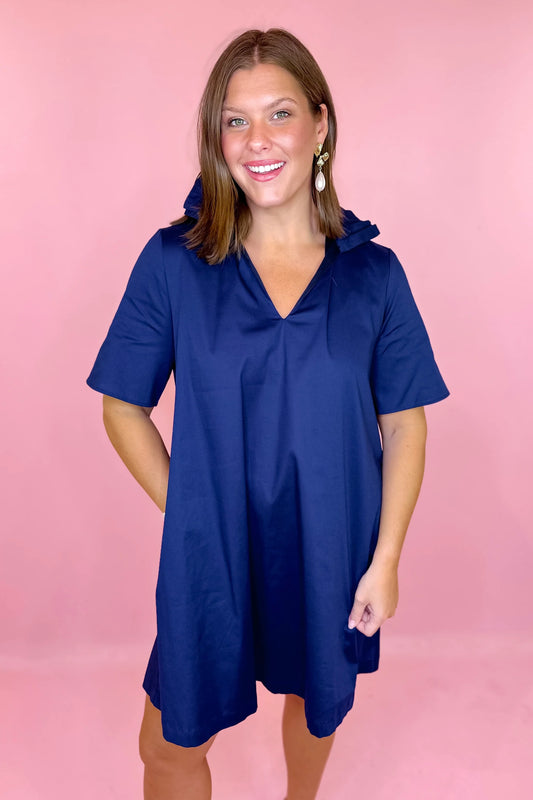 olivia ruffle collar dress