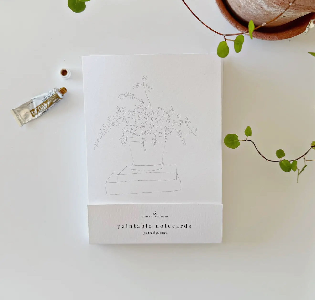 potted plants paintable notecards