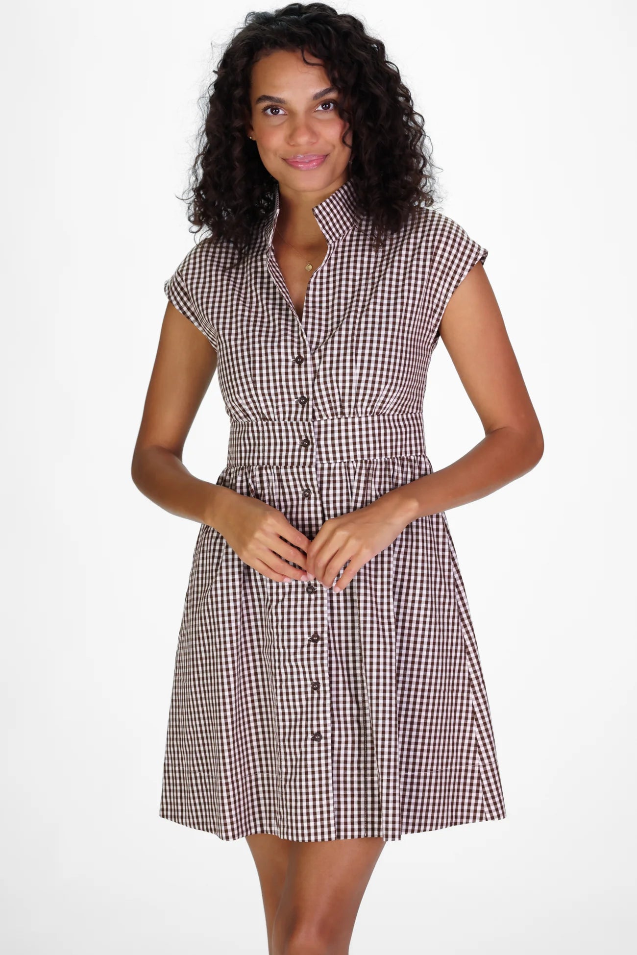 cece dress brown gingham
