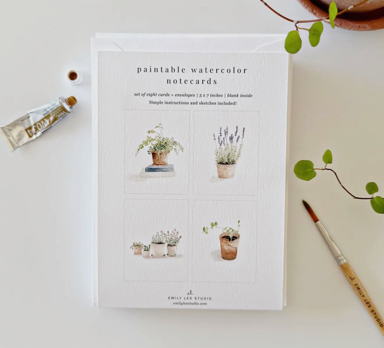 potted plants paintable notecards