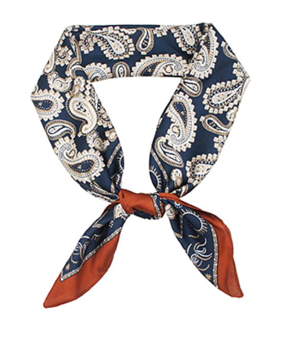 paisley border scarf in navy
