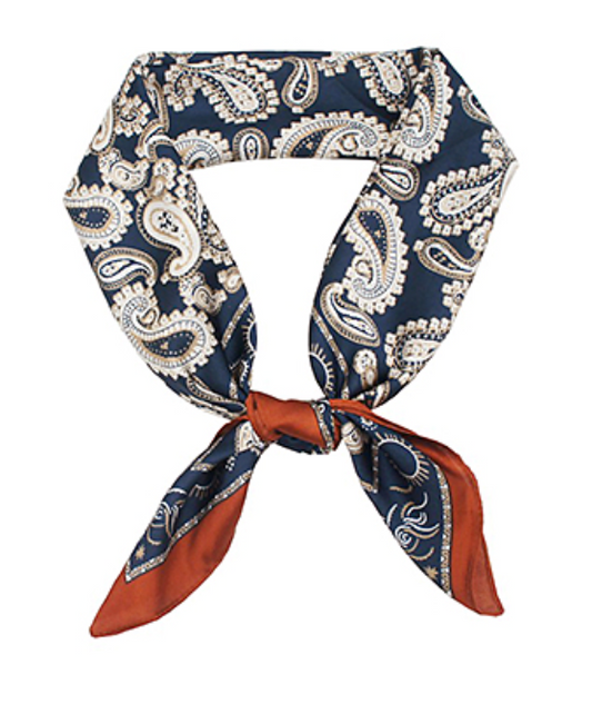 paisley border scarf in navy