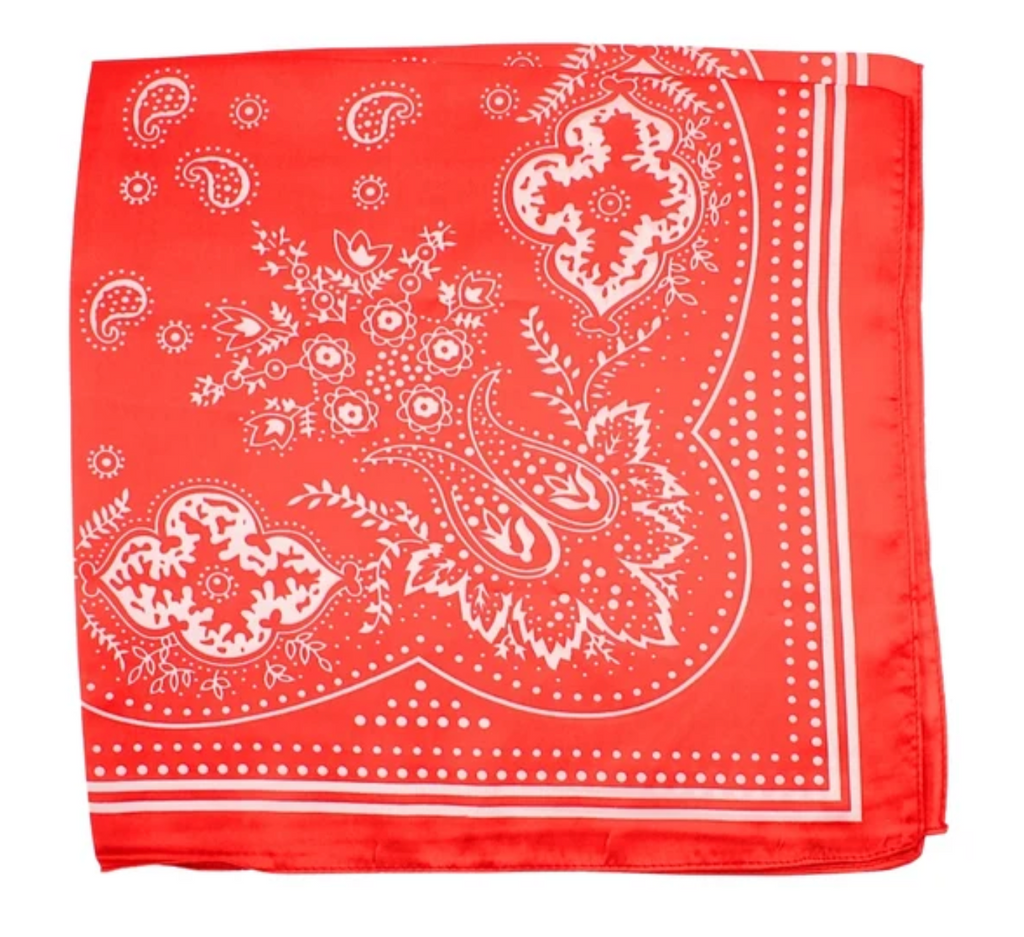 paisley print bandana scarf