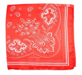 paisley print bandana scarf