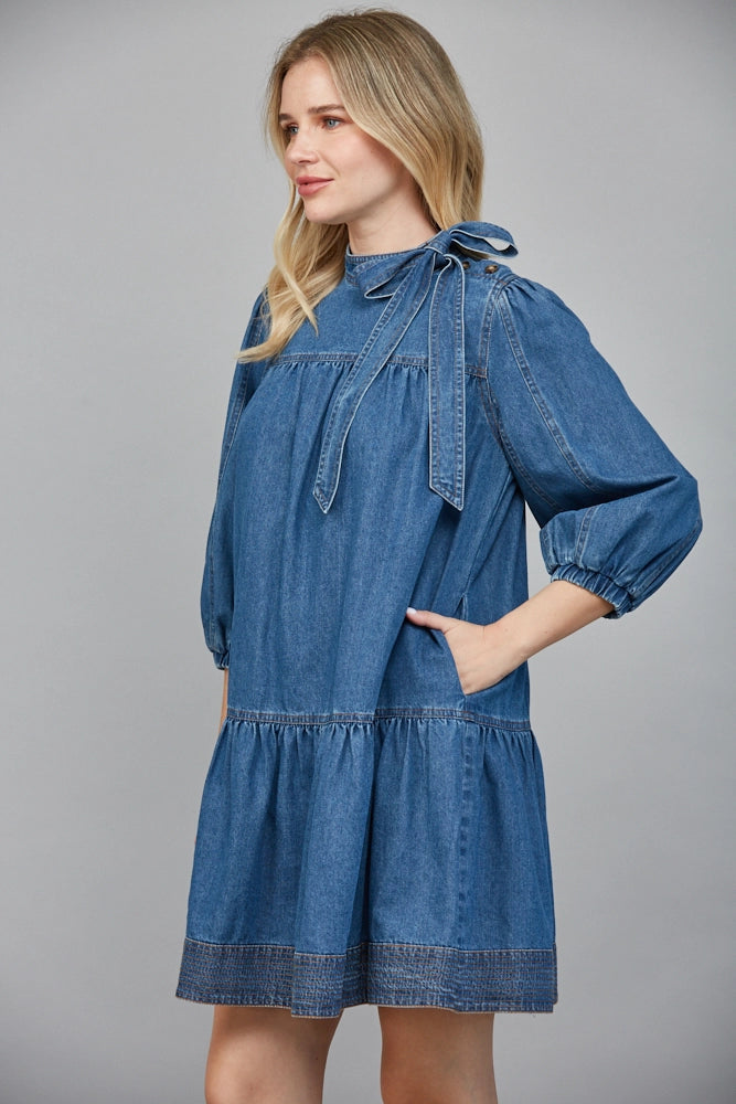 paige washed denim dress
