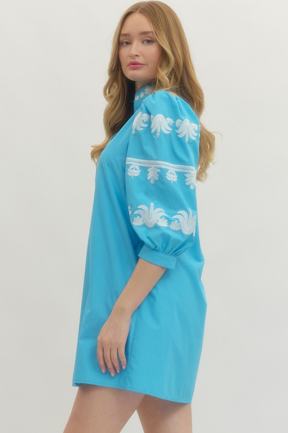 nova embroidered dress