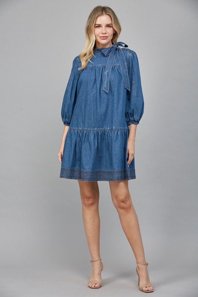 paige washed denim dress