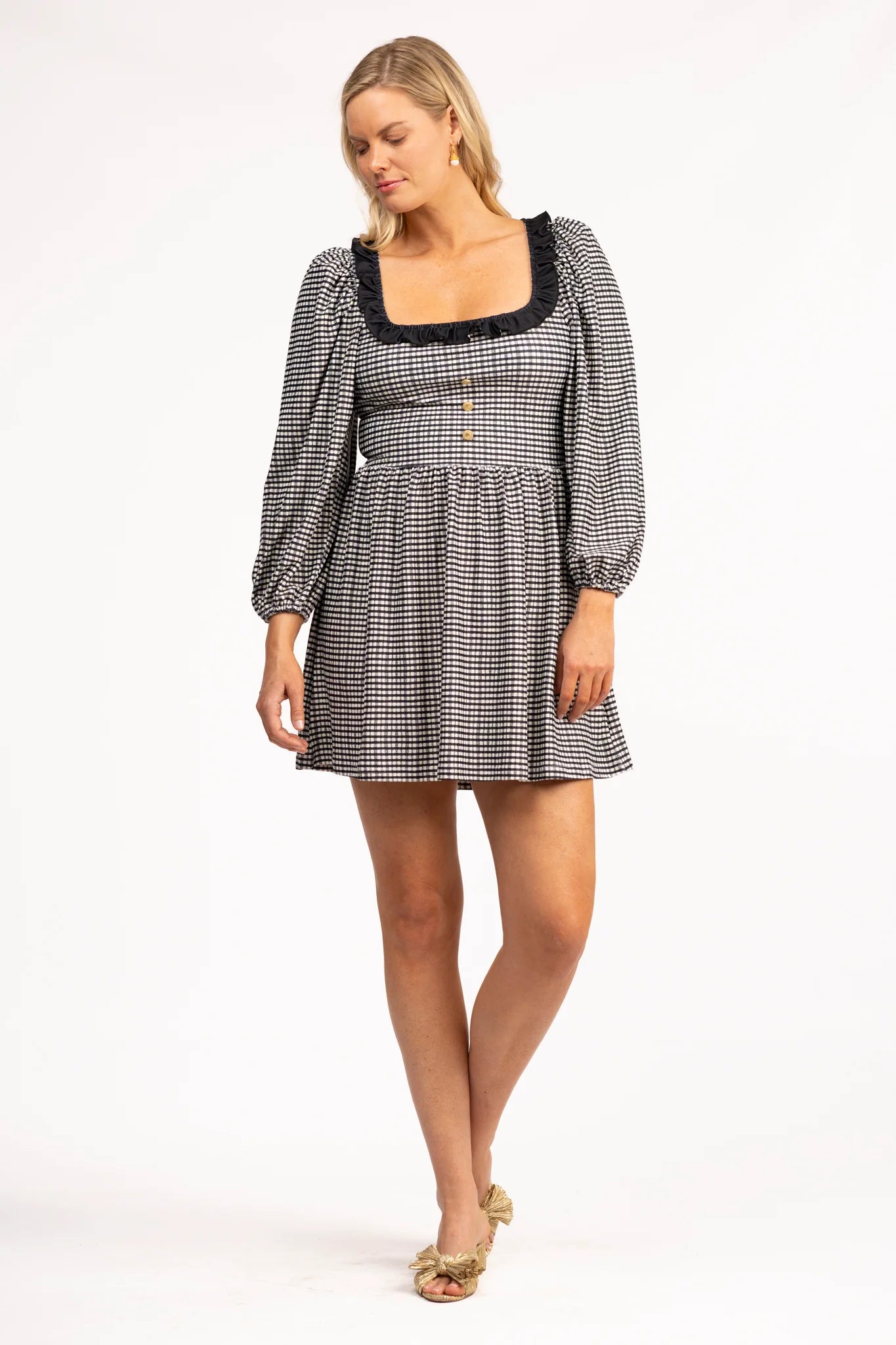 beatrice dress french gingham