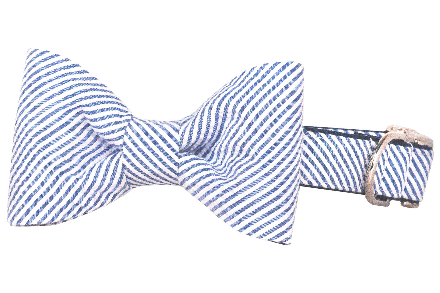 blue seersucker bow tie dog collar