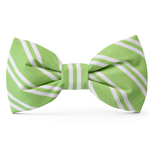 sprout stripe spring dog bow tie