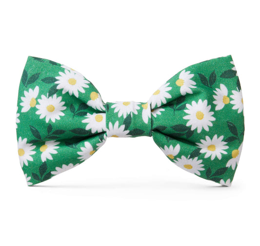 coming up daisies dog bow tie