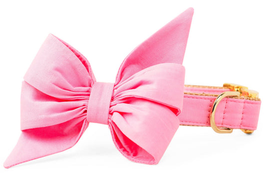 Carnation Pink Belle Bow Dog Collar